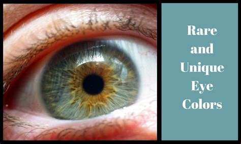 6 Rare and Unique Eye Colors .